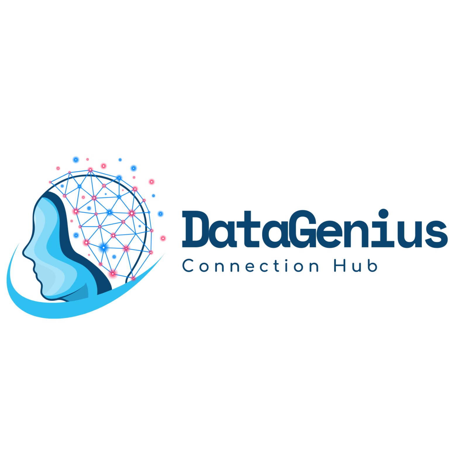 DataGenius Hub