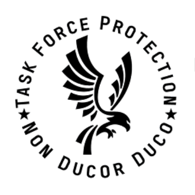 Task Force Protection