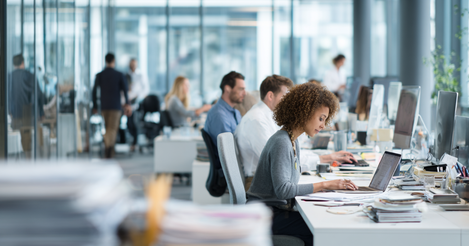 Elite Career Compass